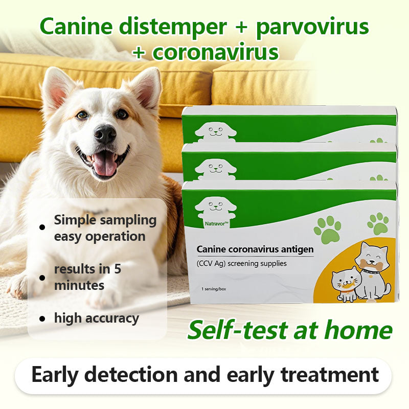 Natravor™Distemper, parvovirus, and coronavirus test strips