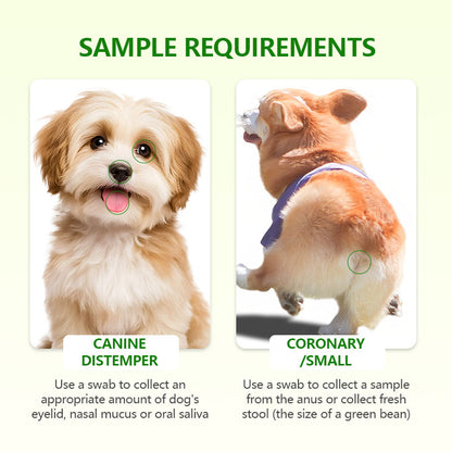 Natravor™Distemper, parvovirus, and coronavirus test strips