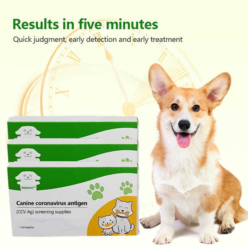 Natravor™Distemper, parvovirus, and coronavirus test strips