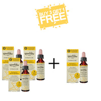 Buy 3 and get 1 Free USD$53.99( 🔥$13/pc🔥)(🔥Free shipping🔥)(✨Hot sale✨)